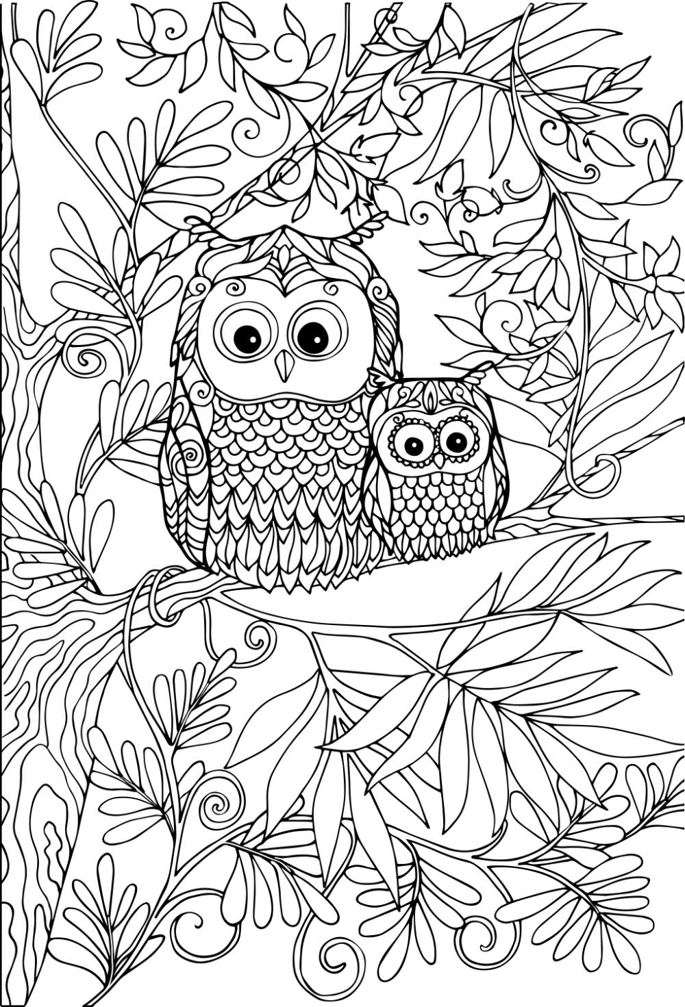 Free OWL Coloring Pages for Download (Printable PDF)