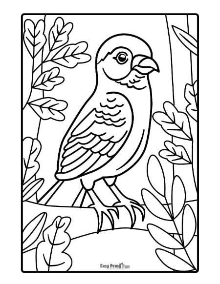 Birds Coloring Pages For Kids Printable