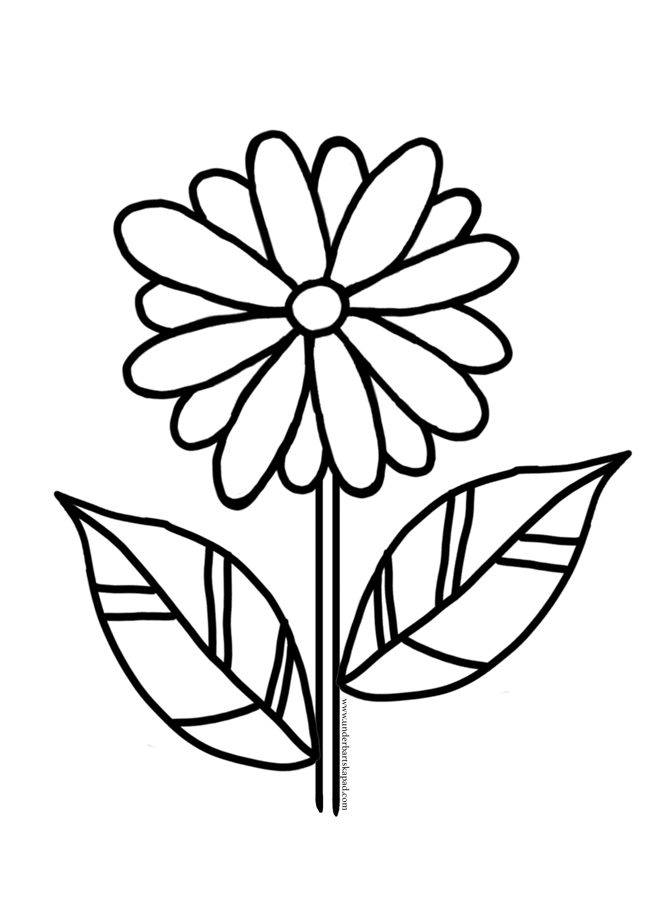 Free Coloring Sheet Flower Pages for Fun Printables - Download Free