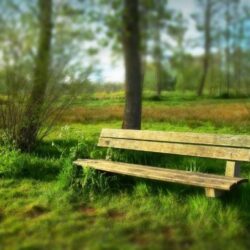 Outdoor Paint Wood Furniture