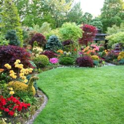 Garden Design Plants