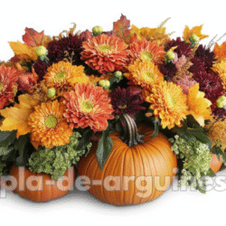 Autumn Flower Arrangements: Warm Seasonal Designs for Cozy Spaces