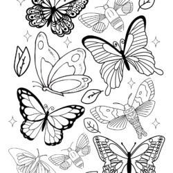 Butterflies Coloring Page