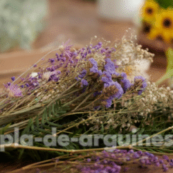 Dried Flower Arrangements: Timeless Decor for Every Space
