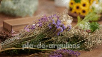 Dried Flower Arrangements