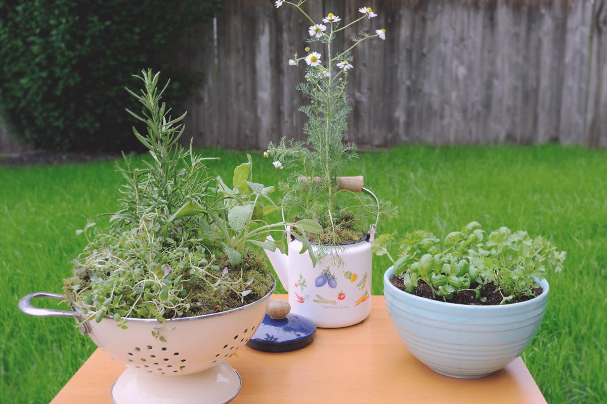 How To Start An Herb Garden
