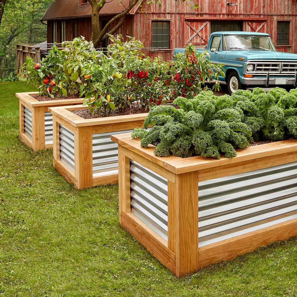 10 Raised Bed Garden Ideas | The Family Handyman