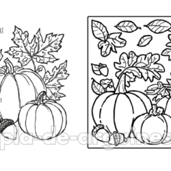 Fall Coloring Pages