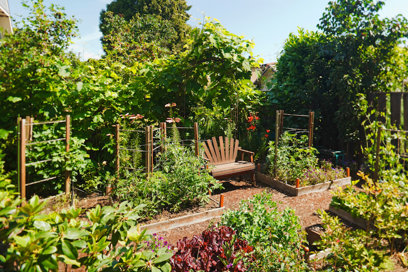 24 Fantastic Backyard Vegetable Garden Ideas