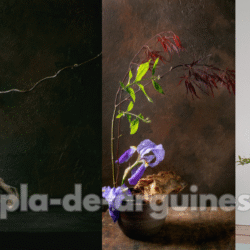 Ikebana Flower Arrangement: The Art of Mindful Floral Design