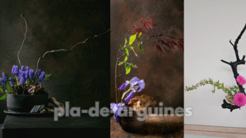 Ikebana Flower Arrangement