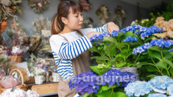 Japanese Flower Arranging