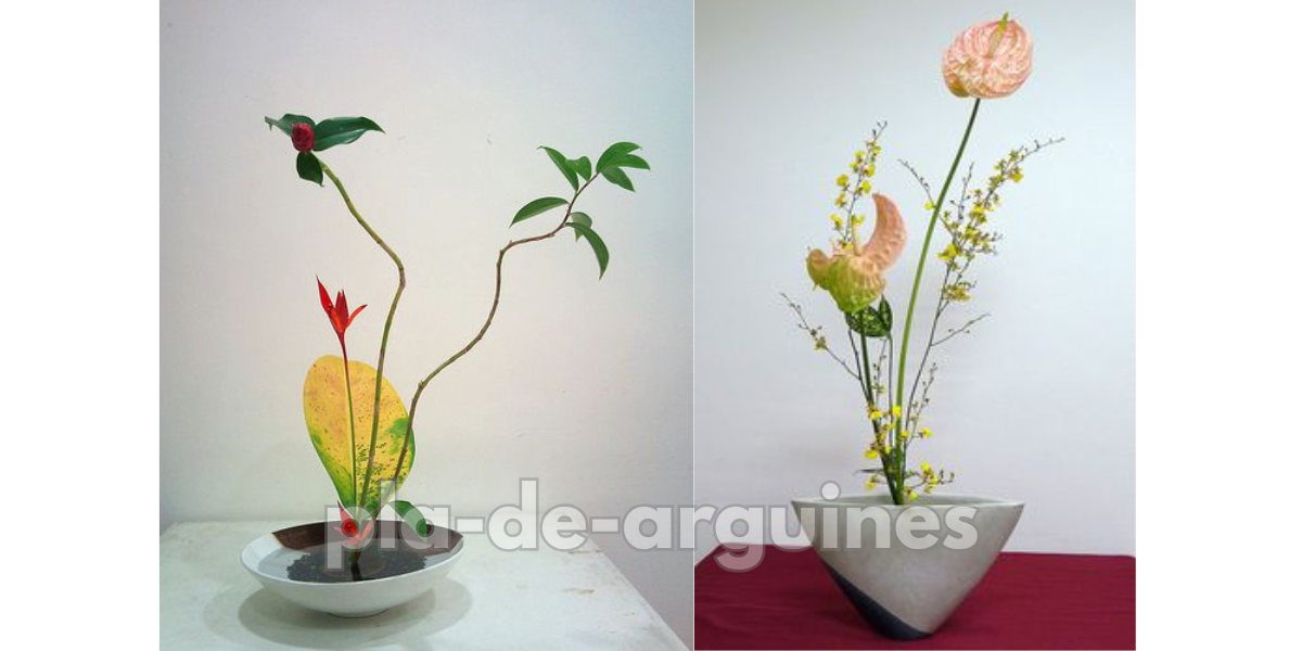 Shōka japaense flower arrangement