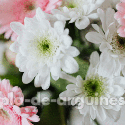 beautiful flower arrangements