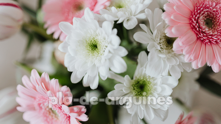 beautiful flower arrangements