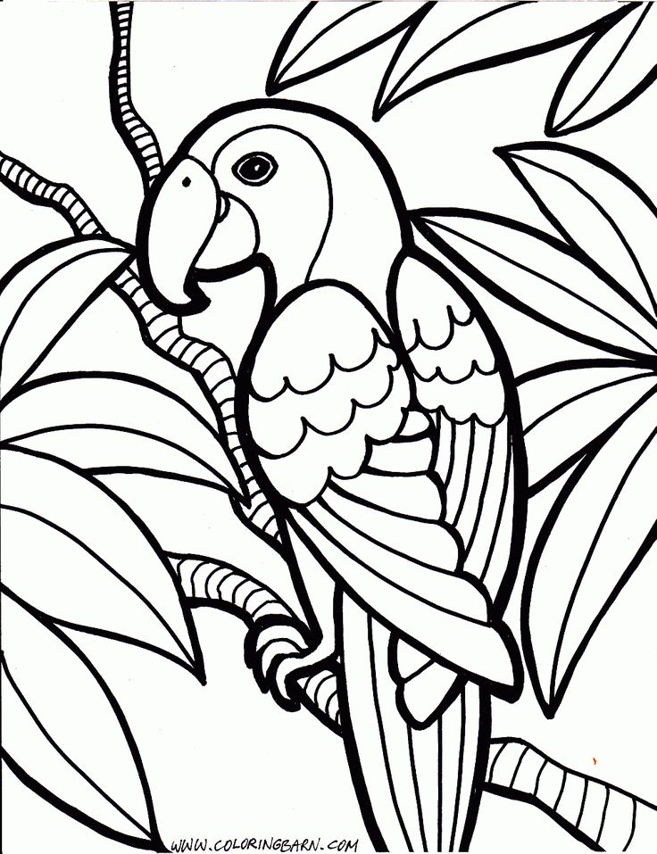 Printable Coloring Pages | Free download on ClipArtMag