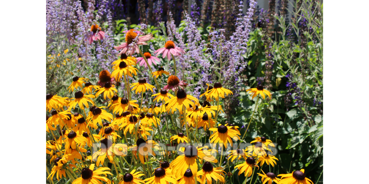 wild flower arrangement