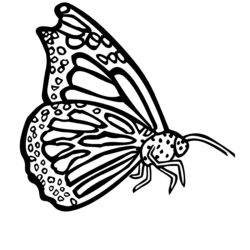 Butterfly Coloring Page