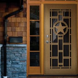 Back Door Designs For Home