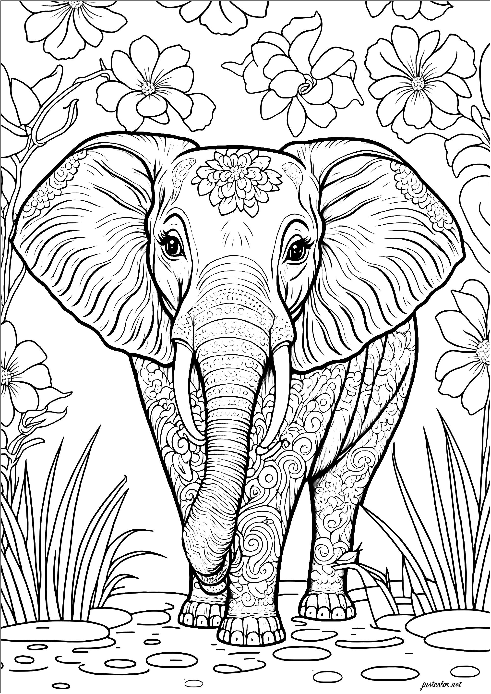 Free Printable Coloring Pages Of Elephants