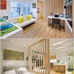 Divider Ideas For Studio Apartments