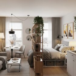 Divider Ideas For Studio Apartments