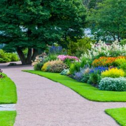 Garden Problems And Solutions